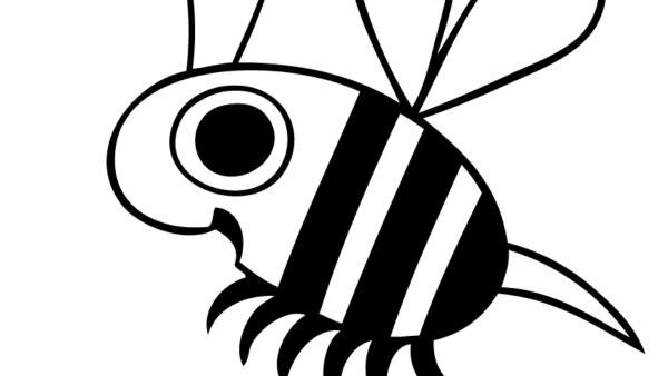 Ausmalbild zur Biene von "Ich kenne ein Tier" | Rechte: SWR
