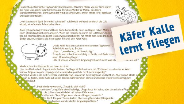 Geschichte zum Vorlesen über Käfer Kalle und seine Freunde | Rechte: KiKA