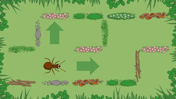 Eine Ameise versucht, aus dem Labyrinth herauszufinden. | Rechte: Sesamstraße