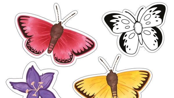 Teaserbild Download Schmetterlinge | Rechte: KiKA